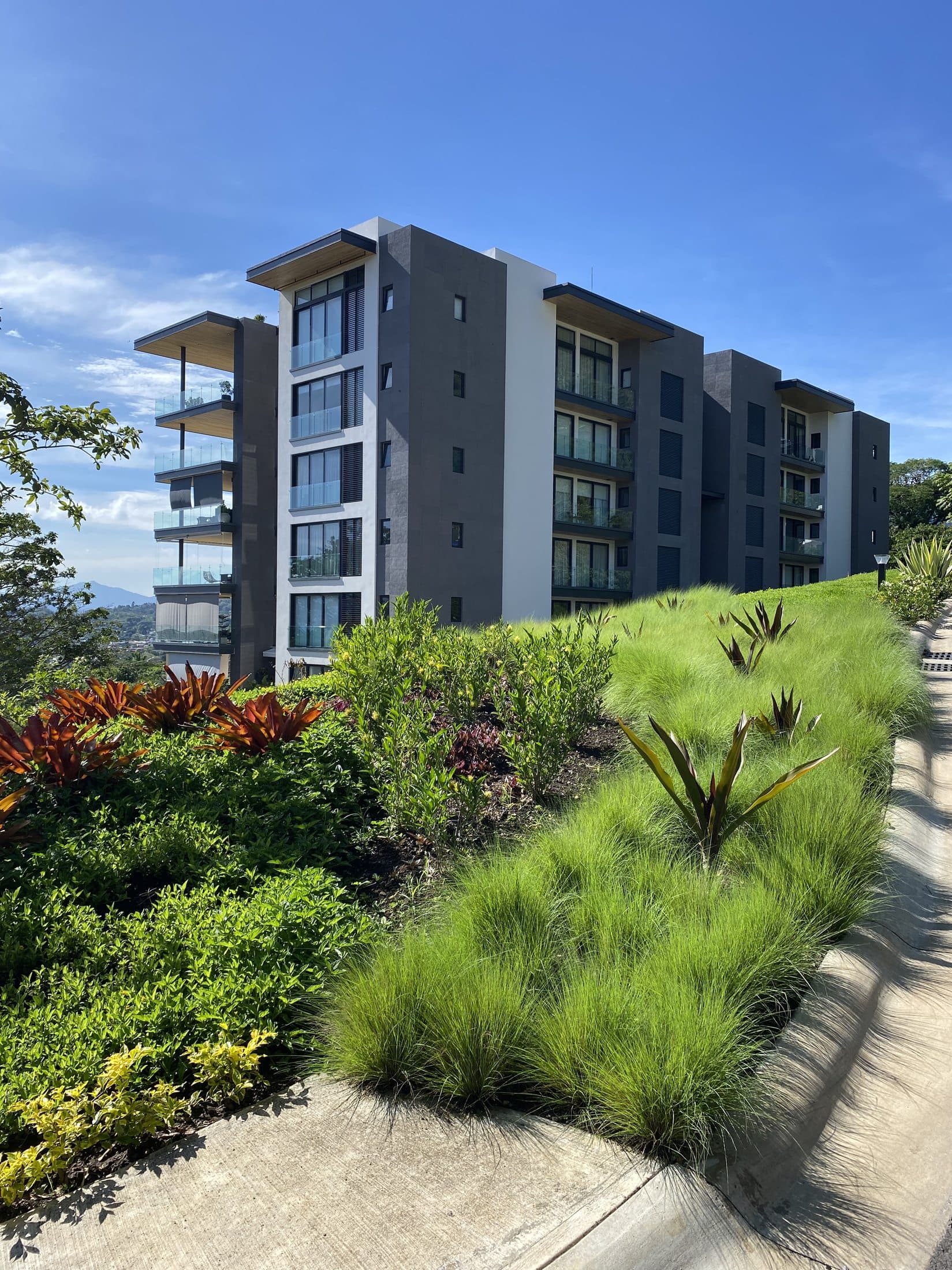 Panorama 180° – Landscaping