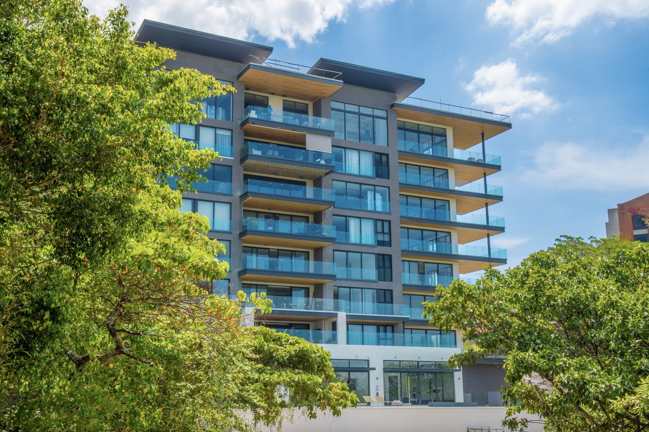 Panorama 180° – Building through trees